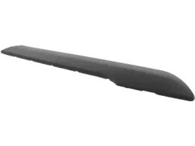 Ford DT1Z-6120878-BC Body Side Molding