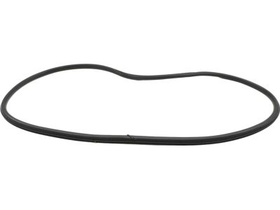 Ford FT4Z-58253A10-B Weatherstrip On Body