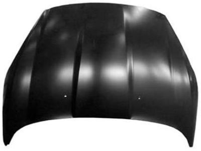 Ford D2BZ-16612-B Hood