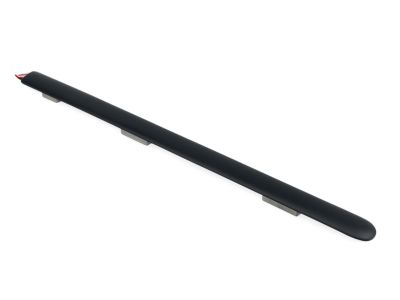 Ford 2F1Z-5425533-PTM Body Side Molding