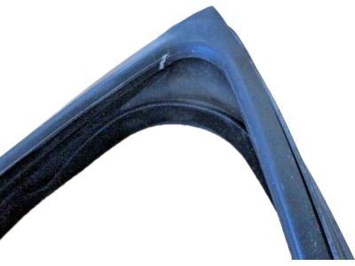 Ford YS4Z-5421597-AB Weatherstrip
