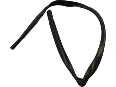Ford YS4Z-5421597-AB Weatherstrip
