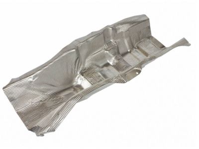 Ford DG9Z-5411434-B Center Shield