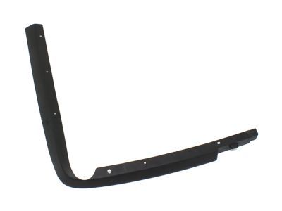 Ford F1VY-17808-A Stone Deflector