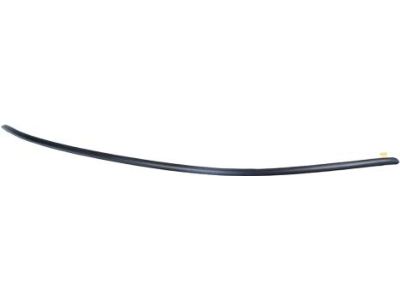 Ford KK3Z-6120939-EA Side Molding