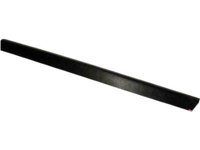 Ford KK3Z-6120939-EA Side Molding