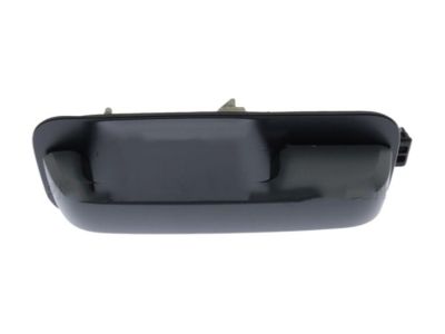 Ford FL3Z-1522404-CGPTM Handle, Outside