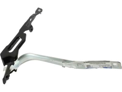 Ford HC3Z-16796-A Hinge Assembly - Hood