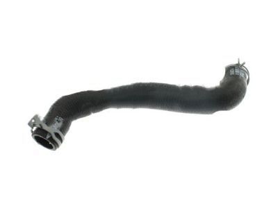 Ford 8S4Z-8286-A Lower Hose