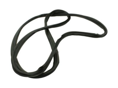 Ford CK4Z-6120708-B Surround Weatherstrip