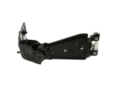 Ford DT1Z-9926801-C Hinge