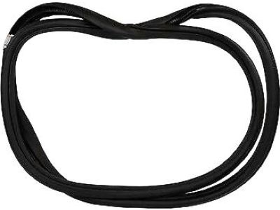 Ford JL1Z-7820709-A Weatherstrip On Body