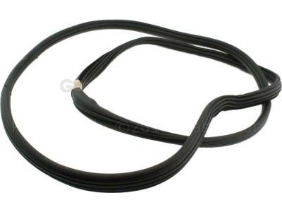 Ford JL1Z-7820709-A Weatherstrip On Body