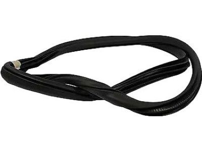 Ford JL1Z-7820709-A Weatherstrip On Body