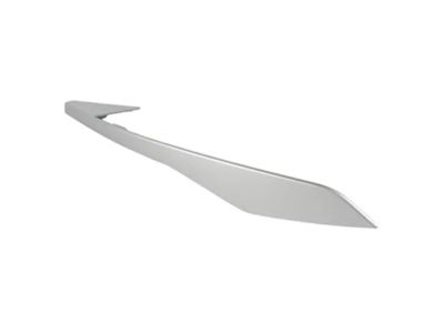 Ford BB5Z-78061A16-AA Trim Molding