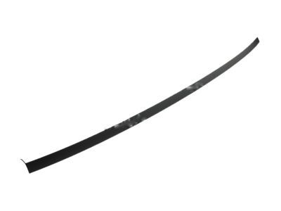 Ford CP9Z-5450462-A Roof Molding