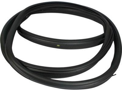 Ford AE9Z-74404A06-A Weatherstrip