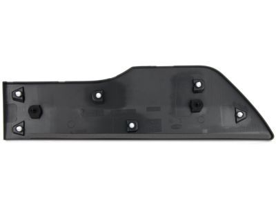 Ford DT1Z-6129077-CB Body Side Molding