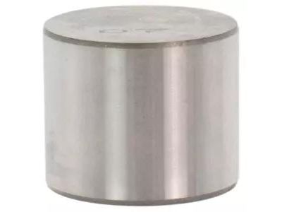 Ford BM5Z-6500-DAGA Valve Lifters