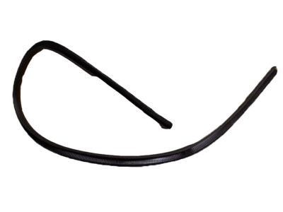 Ford F7AZ-5420891-AAA Interior Molding