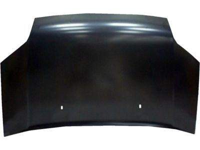 Ford 7T1Z-16612-A Hood