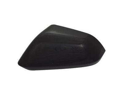 Ford DP5Z-17D743-AAPTM Mirror Cover