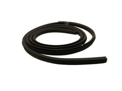 Ford BL3Z-1820708-B Weatherstrip On Body