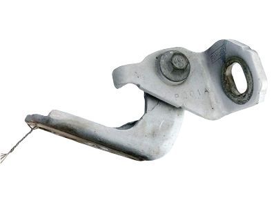 Ford CJ5Z-7822810-A Hinge Assembly