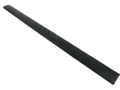 Ford 3T1Z-6129077-BA Body Side Molding