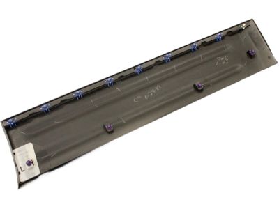 Ford 3L1Z-7820879-APTM Body Side Molding