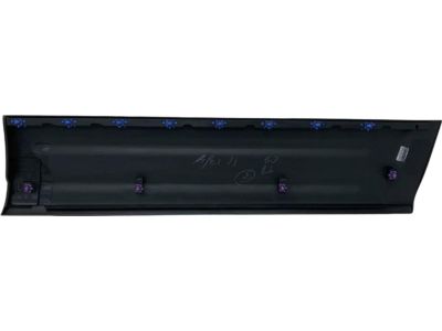 Ford 3L1Z-7820879-APTM Body Side Molding