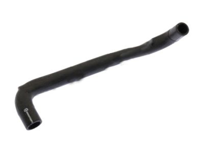 Ford CK4Z-8075-D Hose