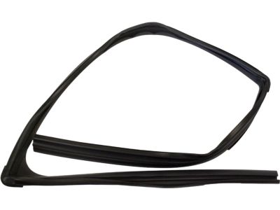 Ford 9T4Z-7821596-B Run Channel