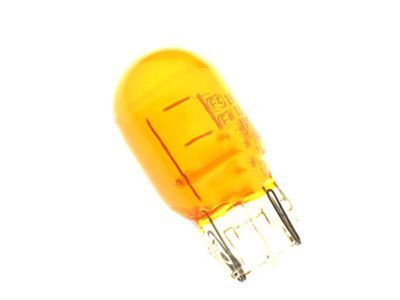 Ford DT1Z-13466-A Park Lamp Bulb