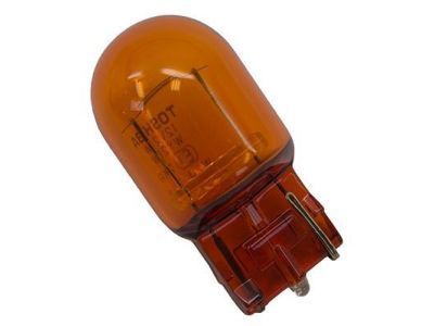 Ford DT1Z-13466-A Park Lamp Bulb