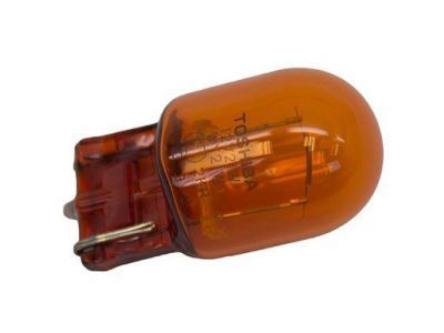 Ford DT1Z-13466-A Park Lamp Bulb