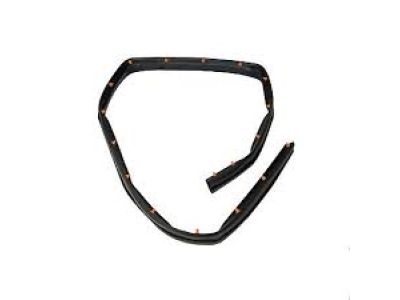 Ford FT4Z-5820759-B Lower Weatherstrip