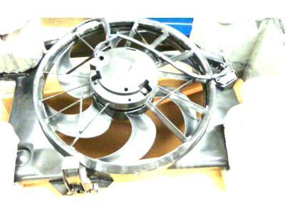 Ford 1W1Z-8C607-AA Fan Module