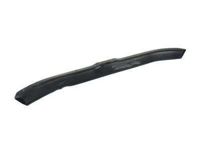 Ford 1W7Z-5411318-AAA Sill Molding