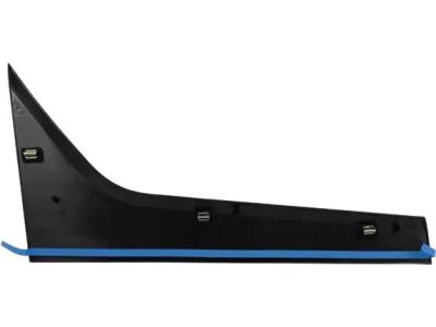 Ford DT1Z-1720938-AB Upper Molding