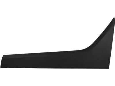 Ford DT1Z-1720938-AB Upper Molding
