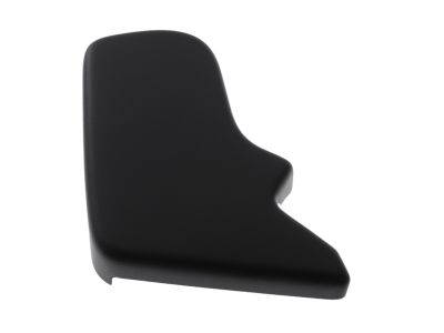 Ford BE9Z-74666L76-AA Latch Cover