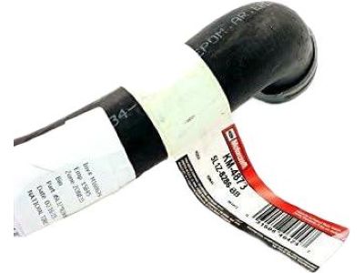 Ford 5L1Z-8286-BB Lower Hose