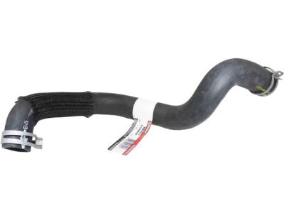 Ford 5L1Z-8286-BB Lower Hose