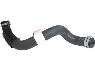 Ford 5L1Z-8286-BB Lower Hose