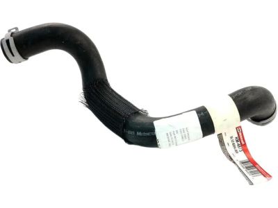 Ford 5L1Z-8286-BB Lower Hose