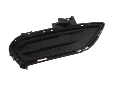 Ford DS7Z-17B814-AA Side Trim