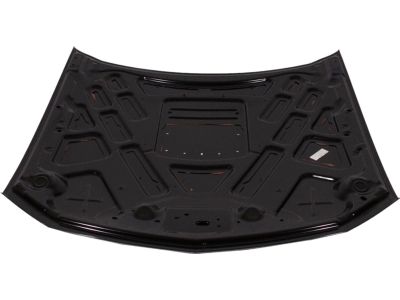 Ford 7R3Z-16612-A Hood