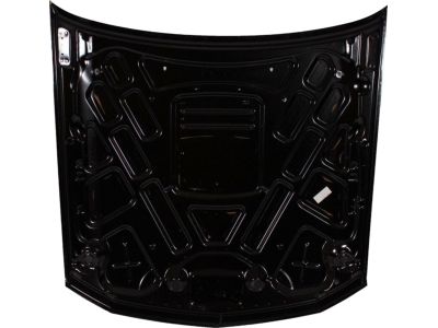 Ford 7R3Z-16612-A Hood