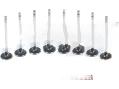 Ford F4TZ-6505-C Valves